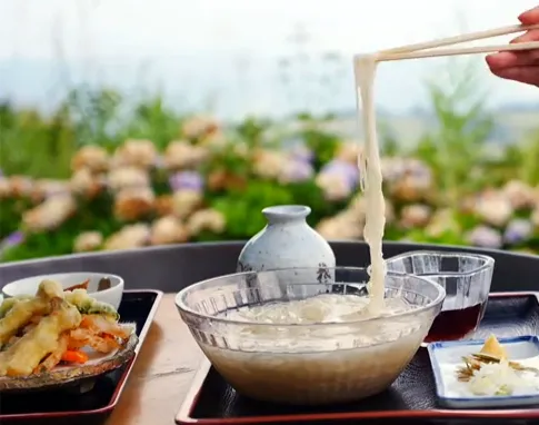 光が丘高原