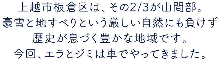 江戸時代から続くレトロなまち「高田」古き良き日本の文化を巡りませんか？