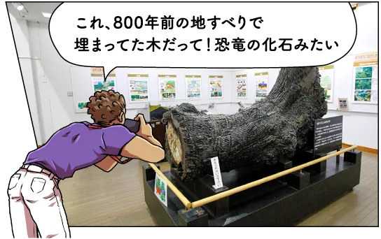 地すべり資料館