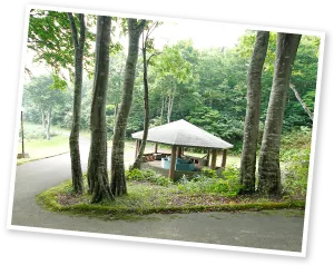 光が丘高原