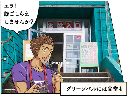 光が丘高原