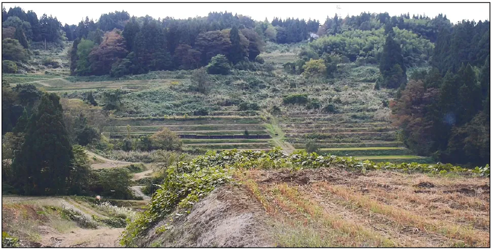 木草庵