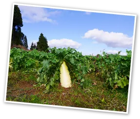 ほほえみ荘