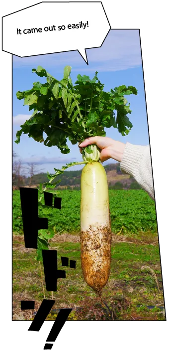 ほほえみ荘