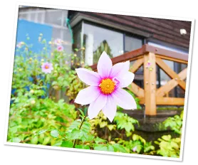マウンテンリバー川上笑学館