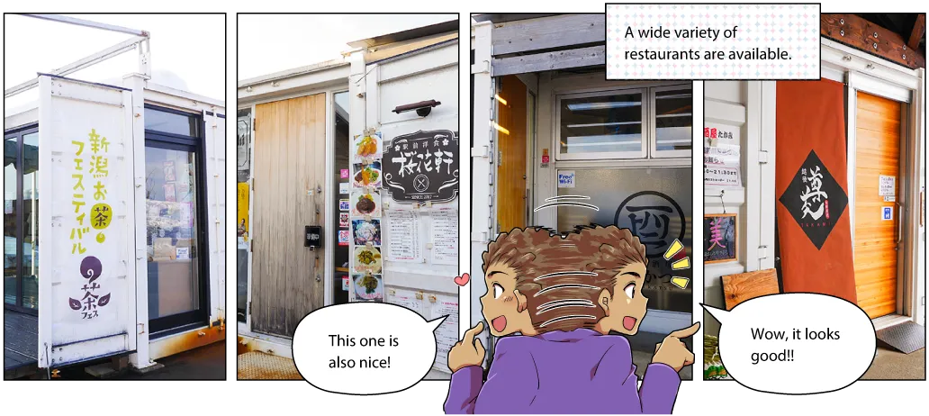 フルサット