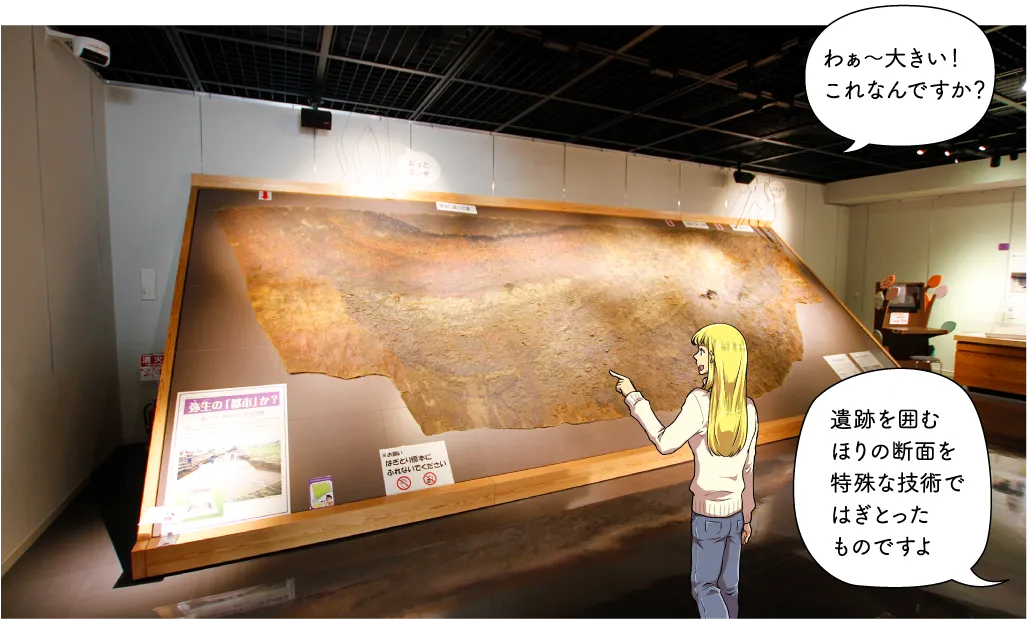 釜蓋遺跡