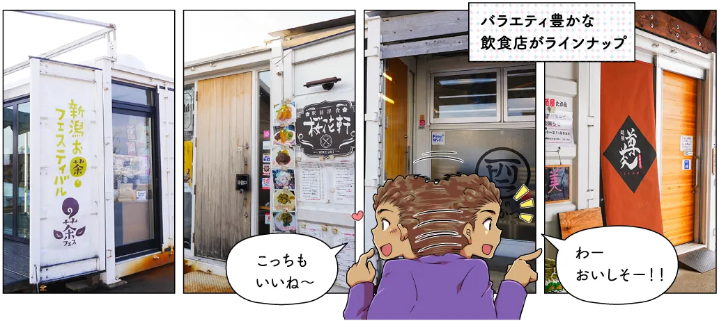 フルサット