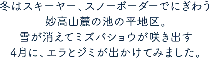 江戸時代から続くレトロなまち「高田」古き良き日本の文化を巡りませんか？