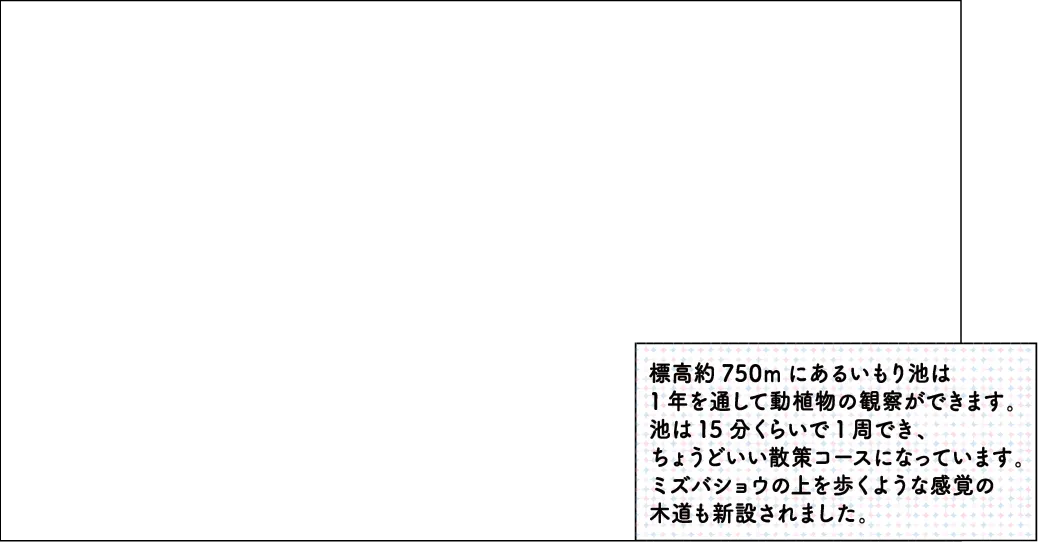 いもり池