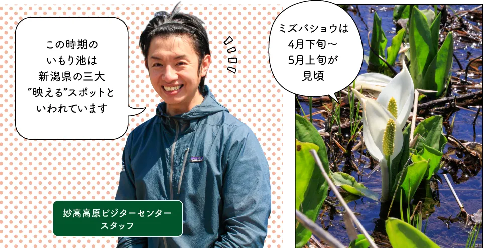 いもり池