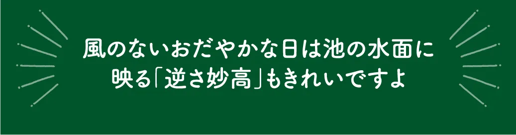 いもり池