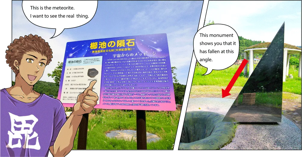 櫛池の大杉