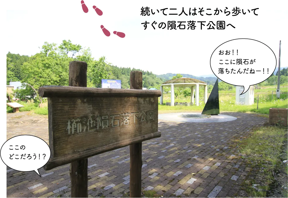 櫛池の大杉