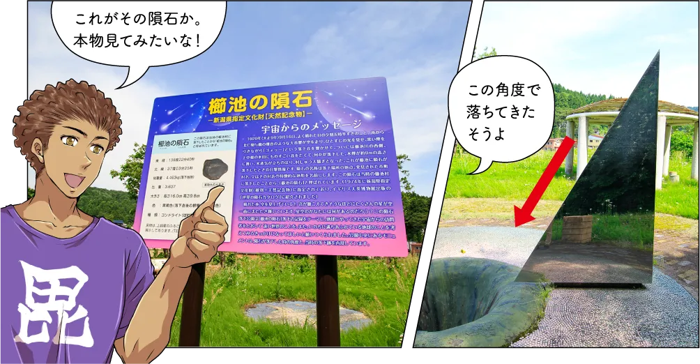 櫛池の大杉