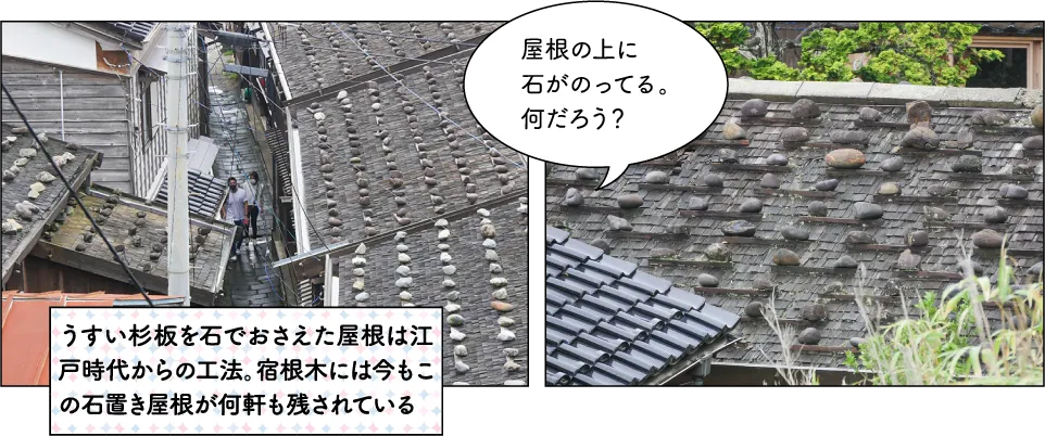 ライムリゾート