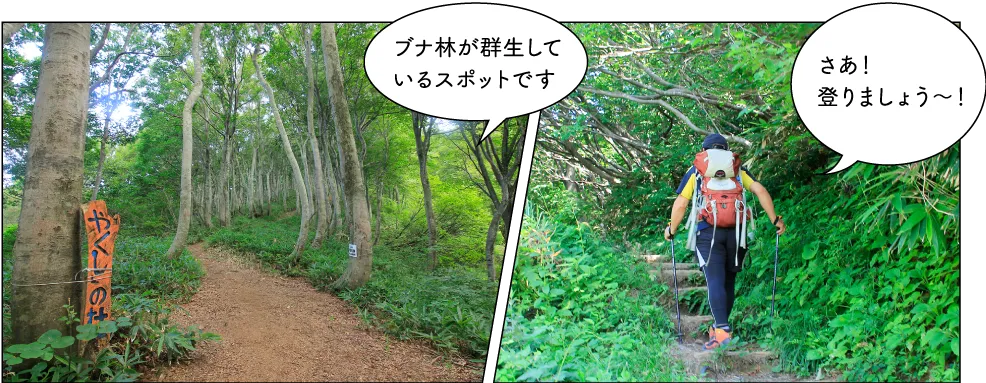 米山