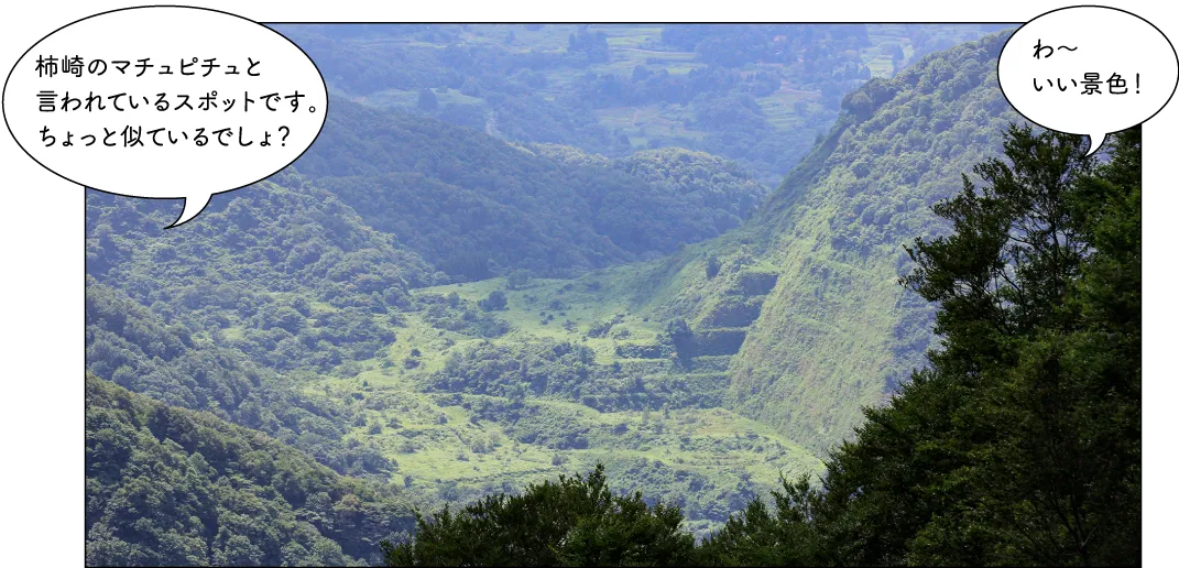 米山