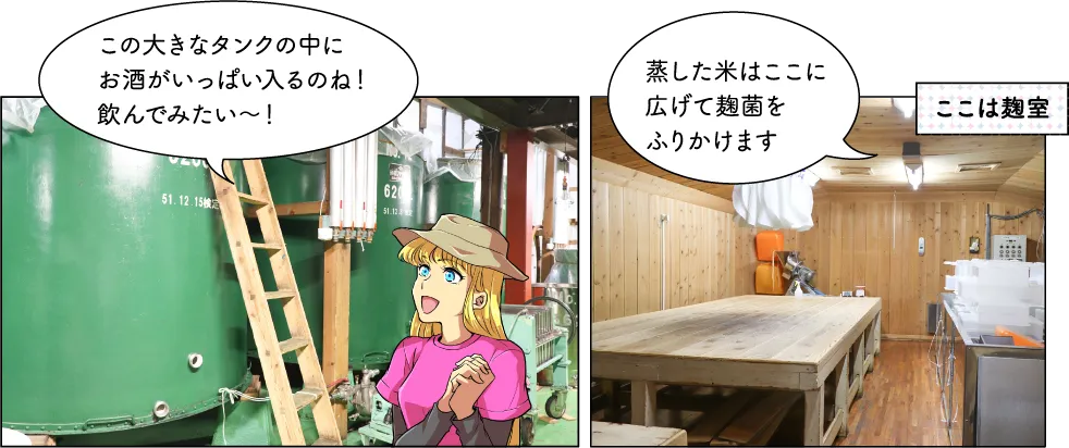 頚城酒造
