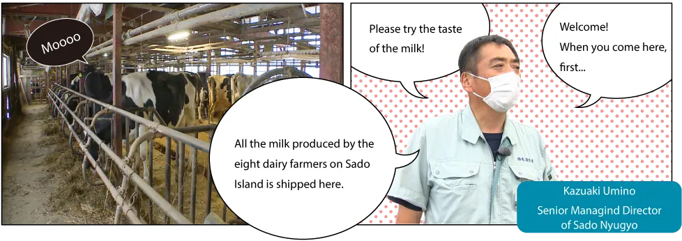 佐渡乳業直売所　みるく・ぽっと