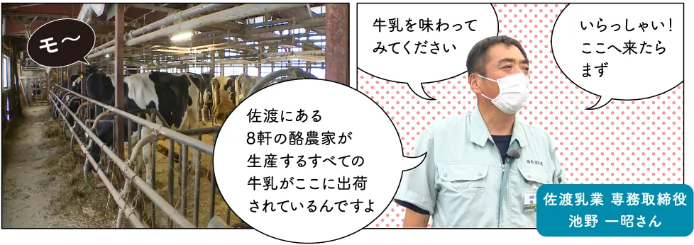 佐渡乳業直売所　みるく・ぽっと