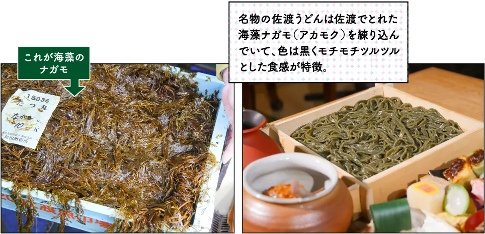 うどん蒼囲