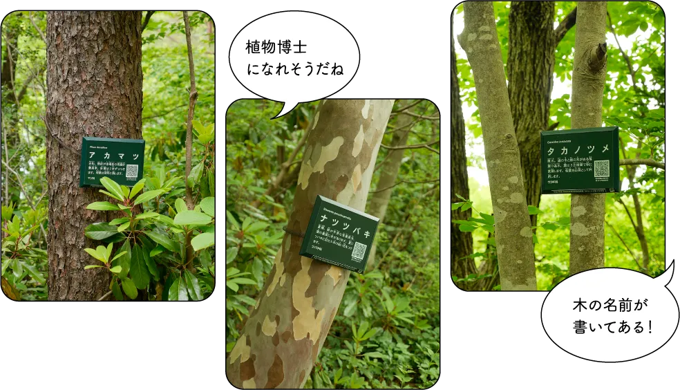 大池いこいの森