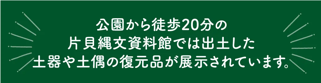 泉縄文公園