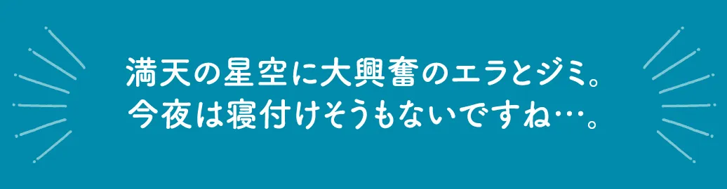妙高サンシャインリゾート