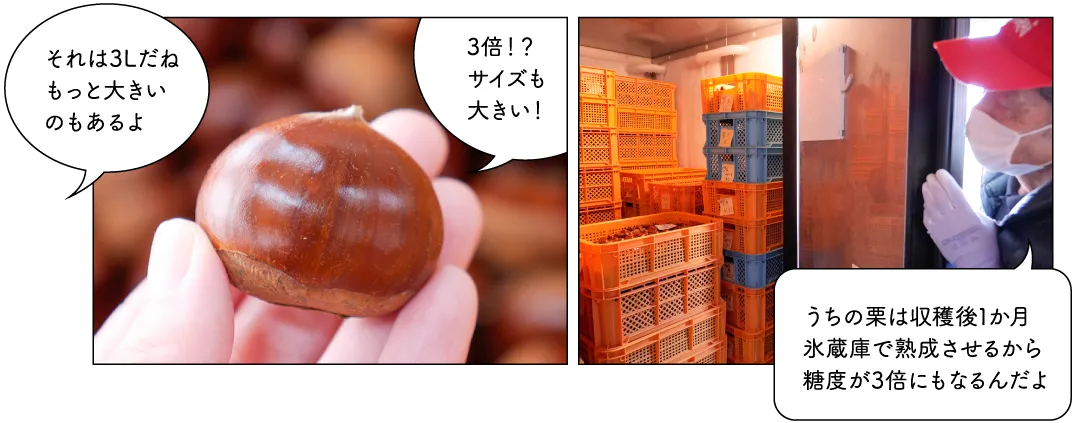 宮沢栗農園