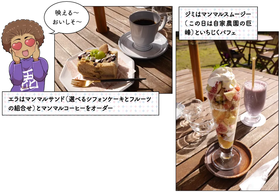 マンマルテラス