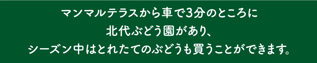 マンマルテラス