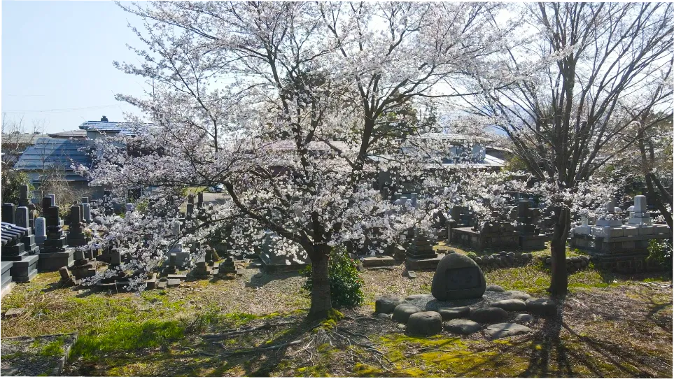 本廟と宝物殿