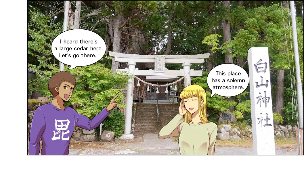 虫川の大スギ