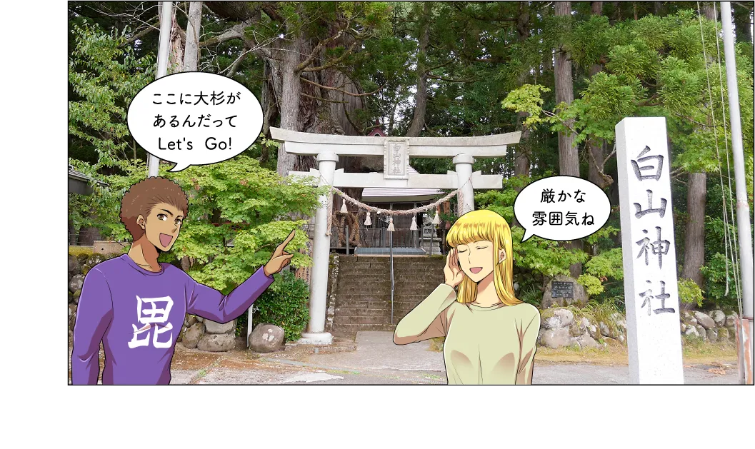 虫川の大スギ