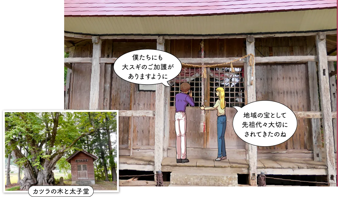 虫川の大スギ