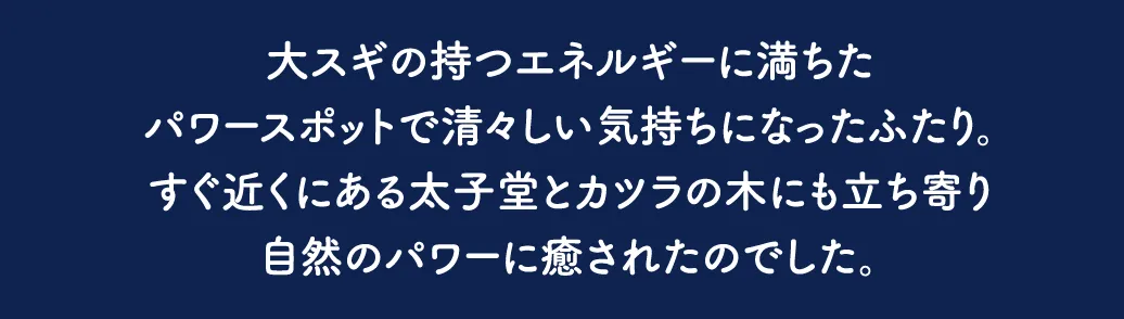 虫川の大スギ