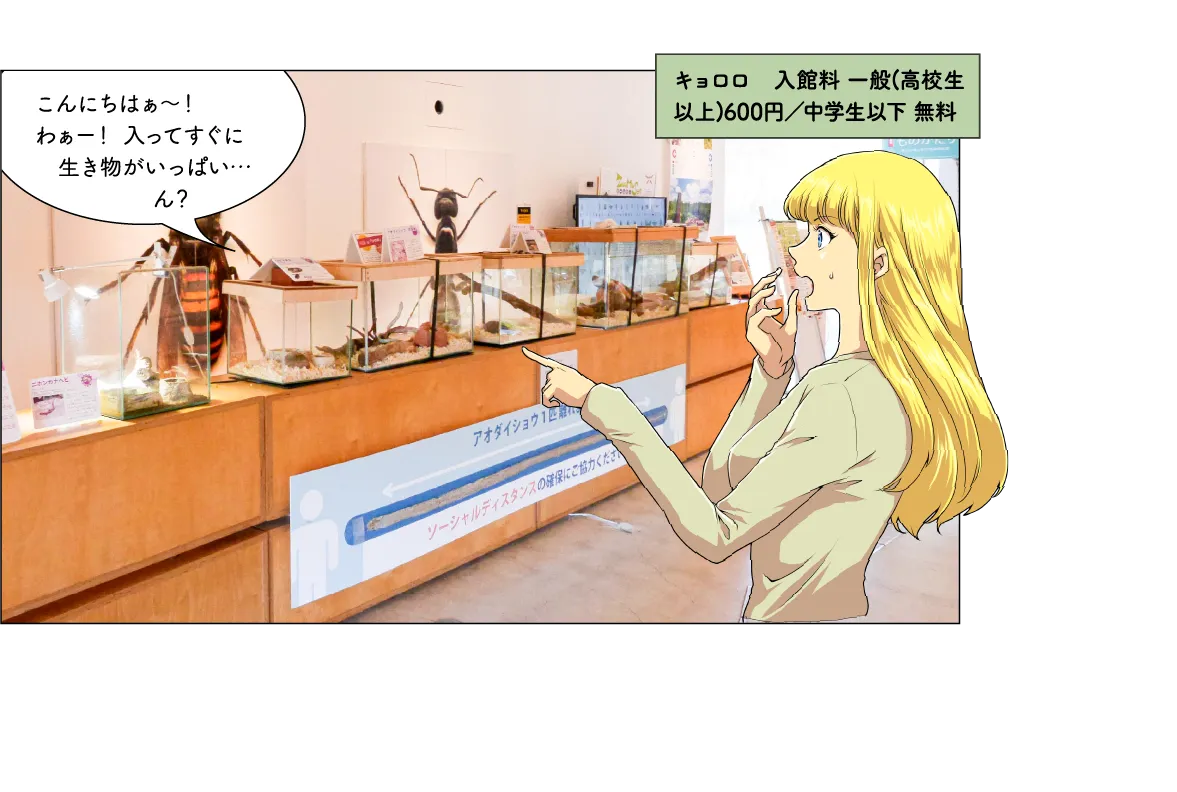 キョロロ＆美人林