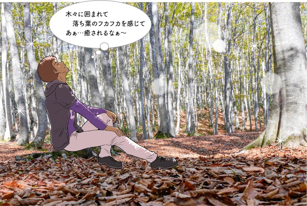 キョロロ＆美人林
