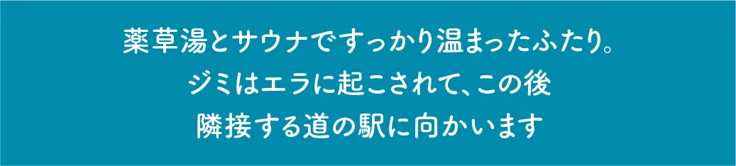 越後妻有交流館 キナーレ