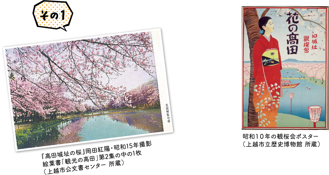 観桜会の歴史