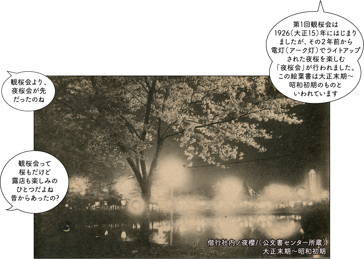 観桜会の歴史