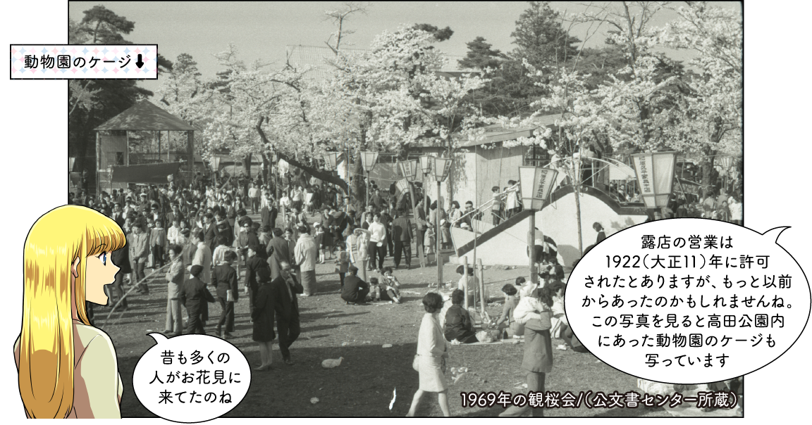 観桜会の歴史