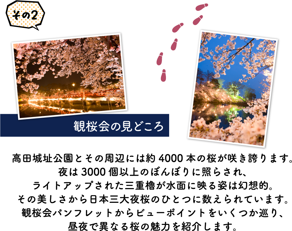 観桜会の見どころ