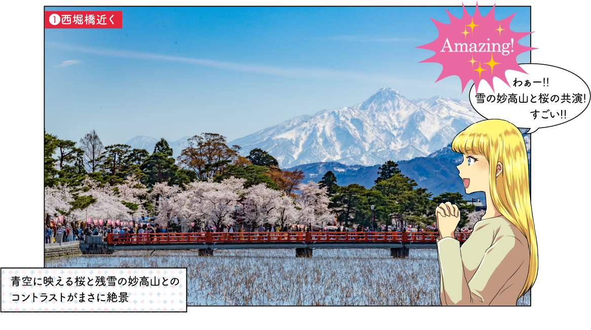 観桜会の見どころ