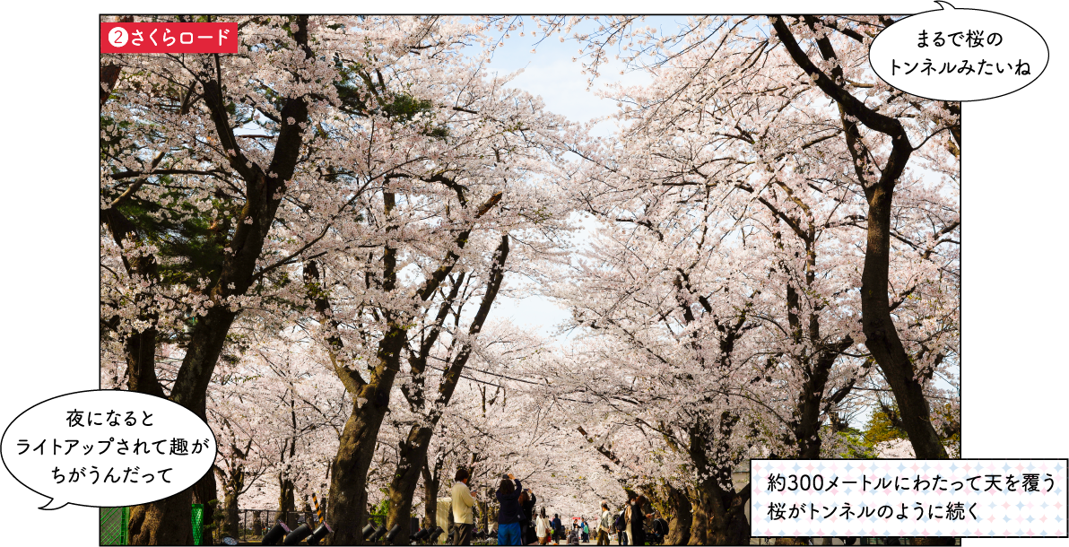 観桜会の見どころ