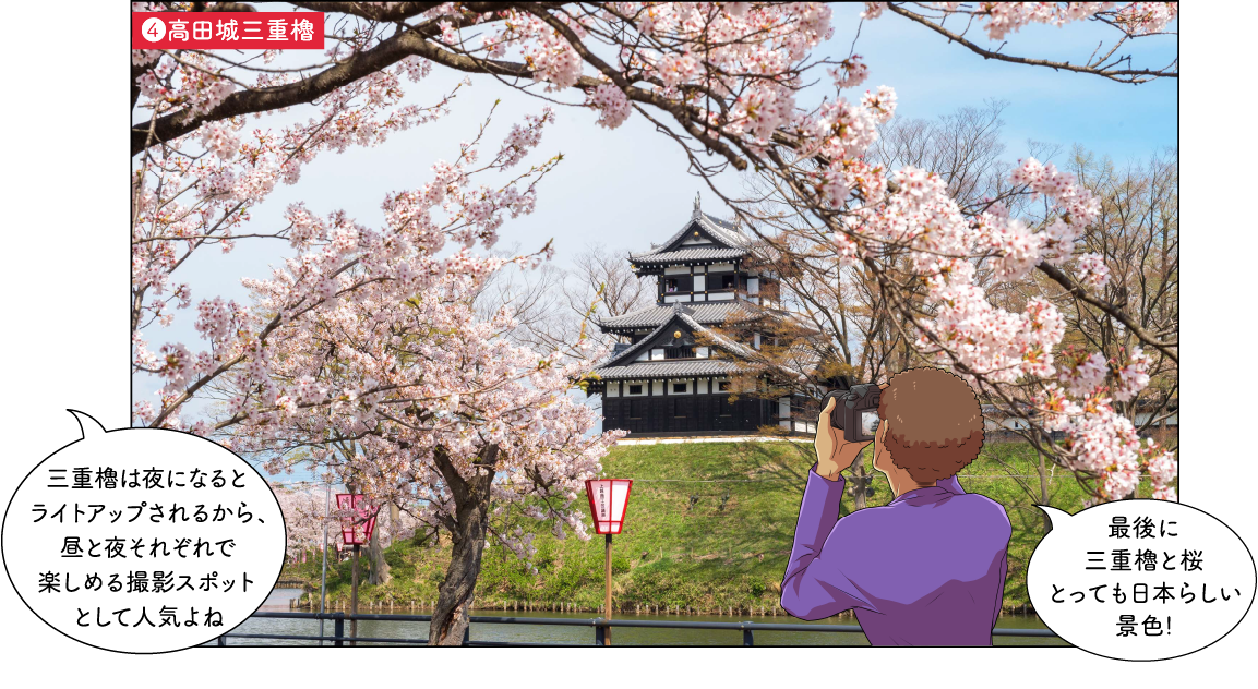 観桜会の見どころ
