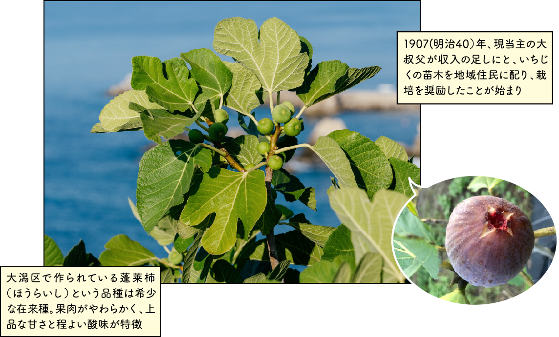 マルト歌代商店