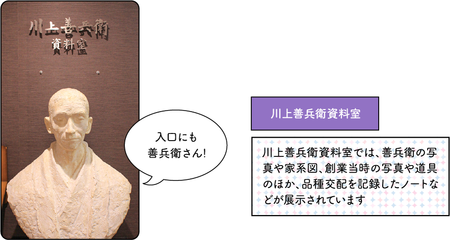 日本のワインぶどうの父