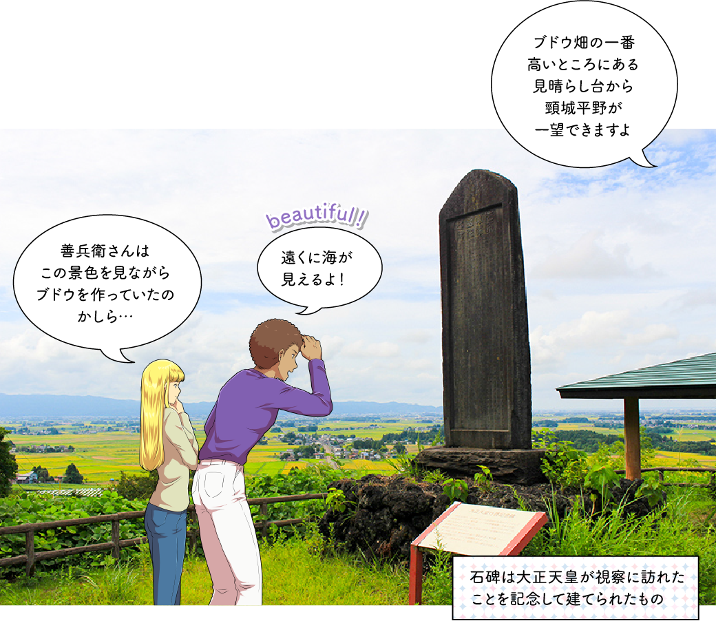 ブドウ畑と見晴らし台